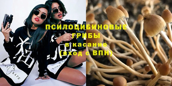 твердый Покровск