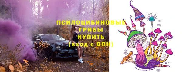 твердый Покровск