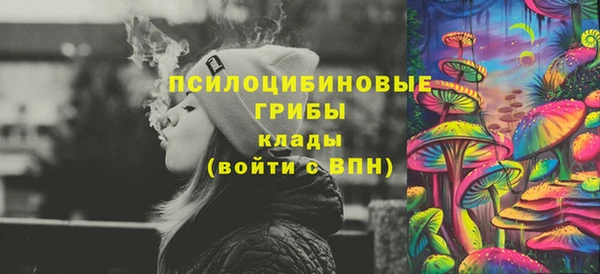 твердый Покровск